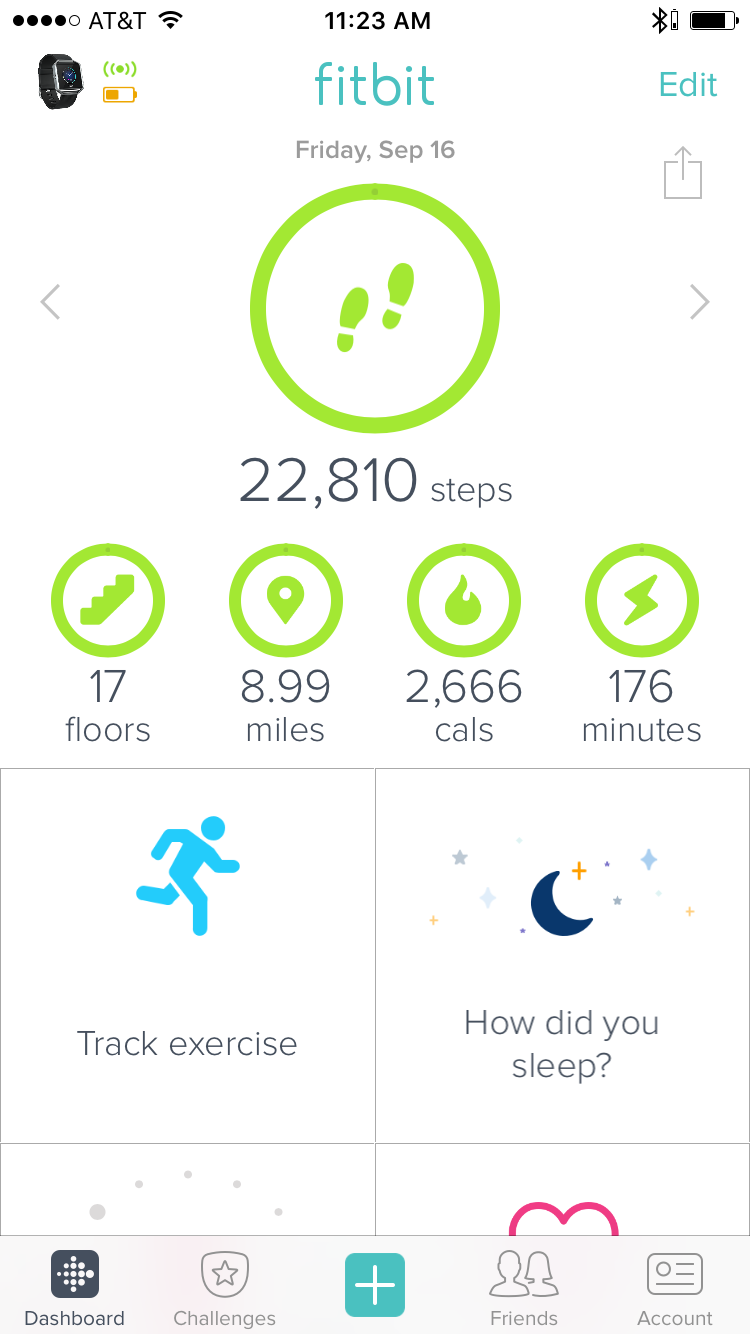 Fitbit Interface